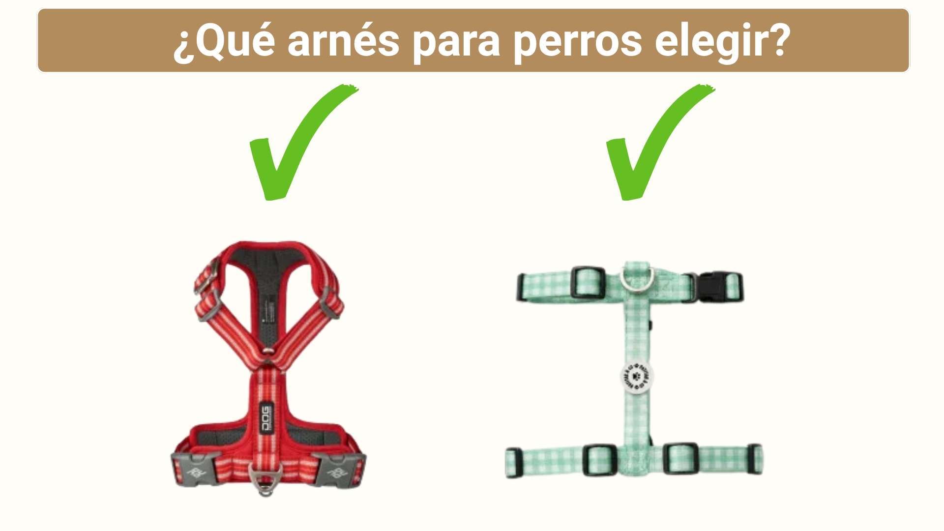 Arneses buenos para perros